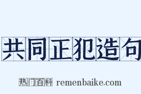 共同正犯造句是什么意思的图片